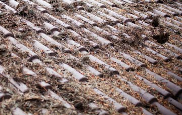 Boarsgreave roof cleaning companies