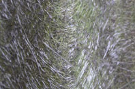 Boarsgreave fibreglass roof work